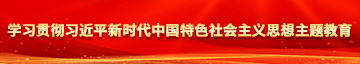 韩国五十老阿姨一级片学习贯彻习近平新时代中国特色社会主义思想主题教育